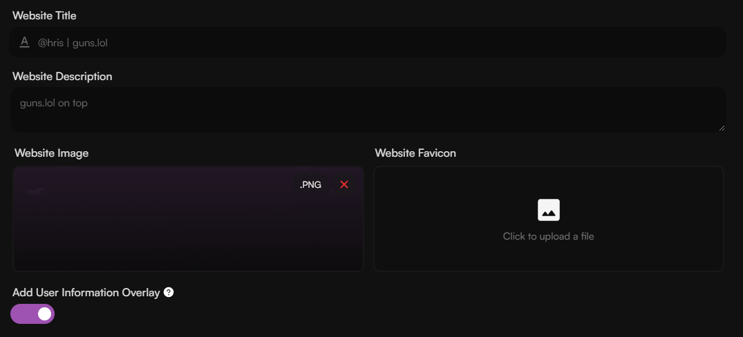 Metadata Customization