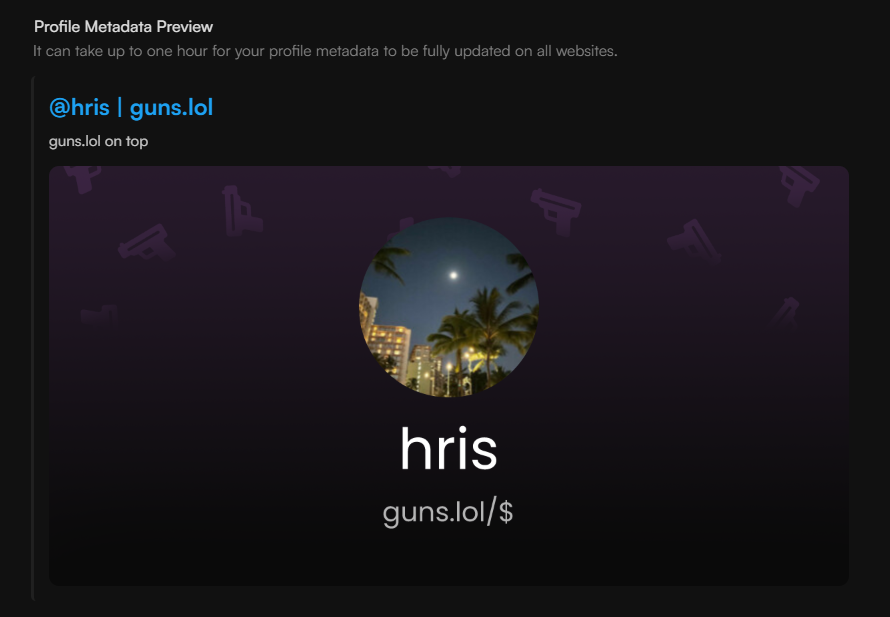 Metadata Preview
